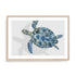 Turquoise Turtle Journey Ii Wall Art