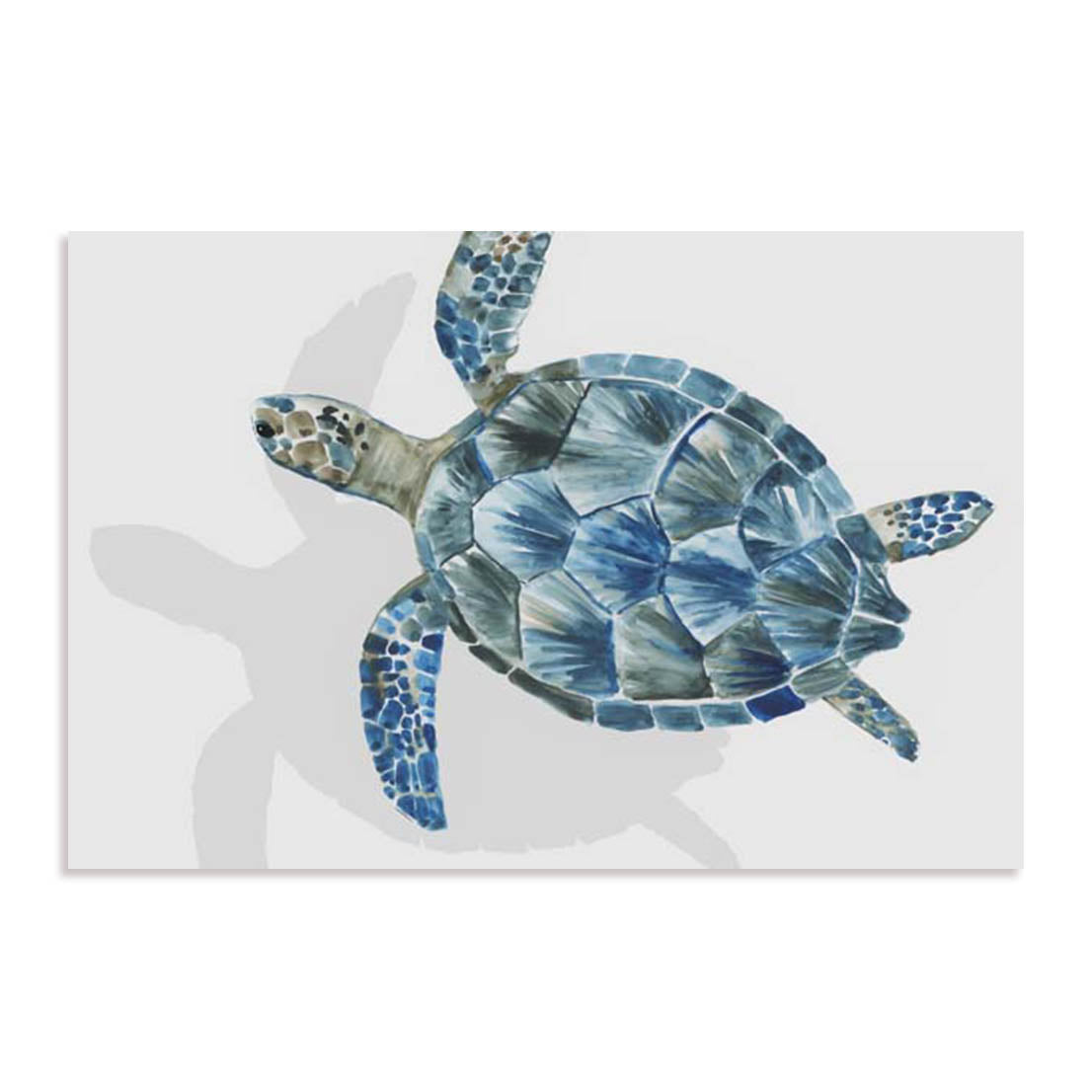 Turquoise Turtle Journey Ii Wall Art