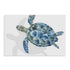 Turquoise Turtle Journey Ii Wall Art