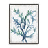 Reef Reverie II Wall Art