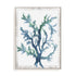 Reef Reverie II Wall Art