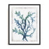 Reef Reverie II Wall Art