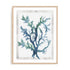 Reef Reverie II Wall Art