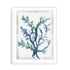 Reef Reverie II Wall Art
