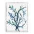 Reef Reverie II Wall Art