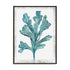 Reef Reverie III Wall Art