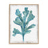 Reef Reverie III Wall Art