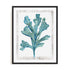 Reef Reverie III Wall Art