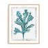 Reef Reverie III Wall Art