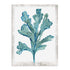 Reef Reverie III Wall Art