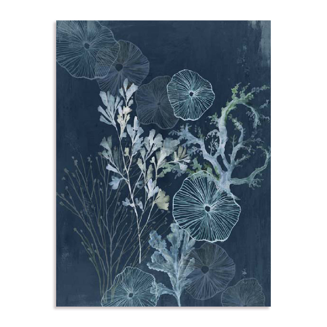 Ethereal Sea Treasures Wall Art