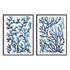 Blue Sea Coral I and II Wall Art