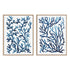 Blue Sea Coral I and II Wall Art