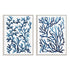 Blue Sea Coral I and II Wall Art