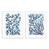 Blue Sea Coral I and II Wall Art