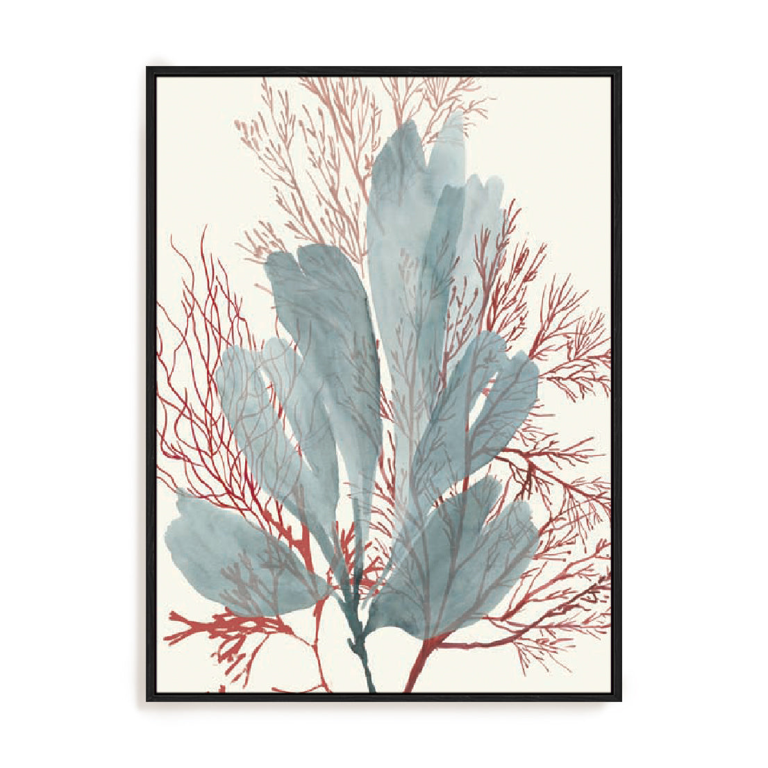 Seaweed Swirls I Wall Art