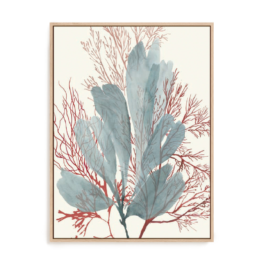 Seaweed Swirls I Wall Art