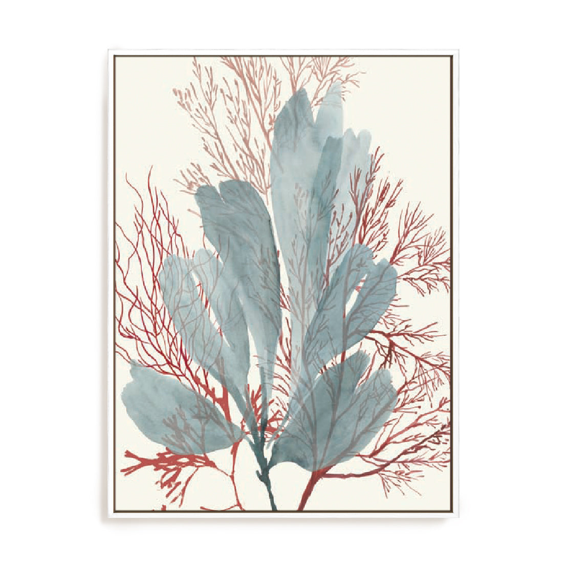 Seaweed Swirls I Wall Art