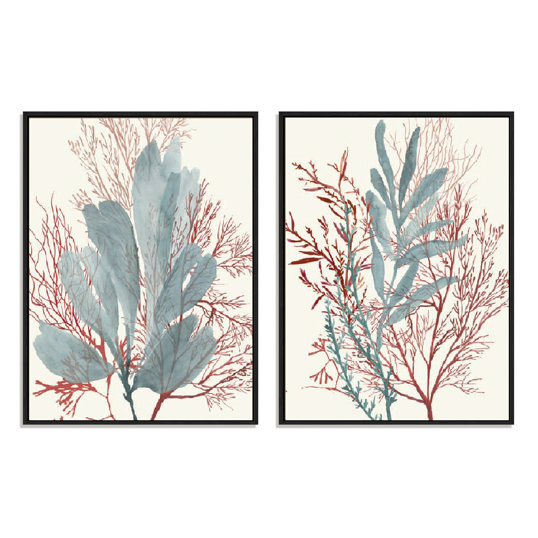 Seaweed Swirls I and II Wall Art