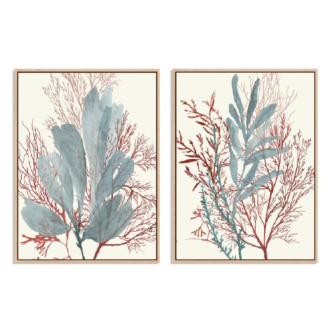 Seaweed Swirls I and II Wall Art