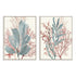 Seaweed Swirls I and II Wall Art
