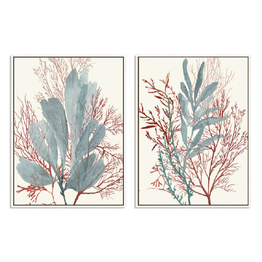 Seaweed Swirls I and II Wall Art