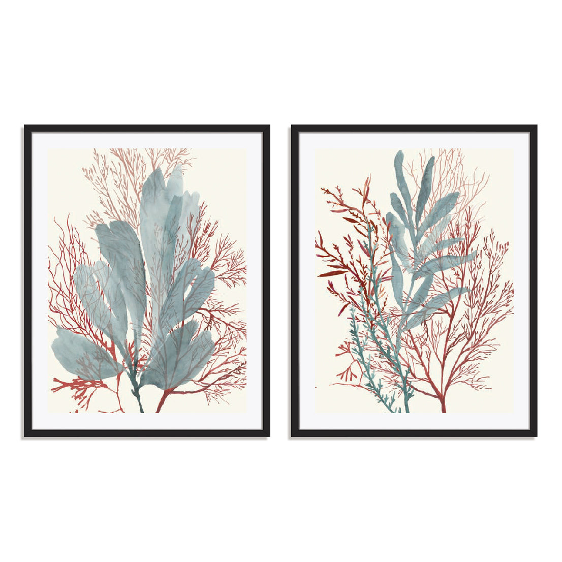 Seaweed Swirls I and II Wall Art