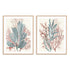 Seaweed Swirls I and II Wall Art