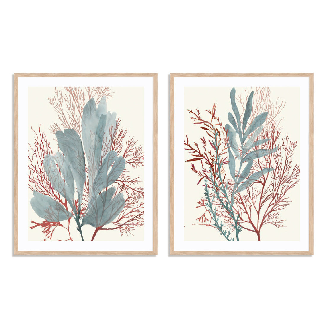Seaweed Swirls I and II Wall Art