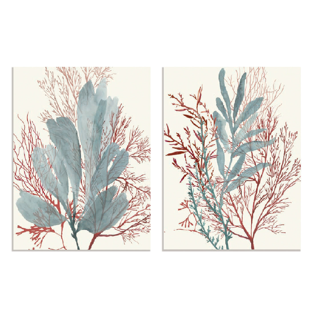 Seaweed Swirls I and II Wall Art