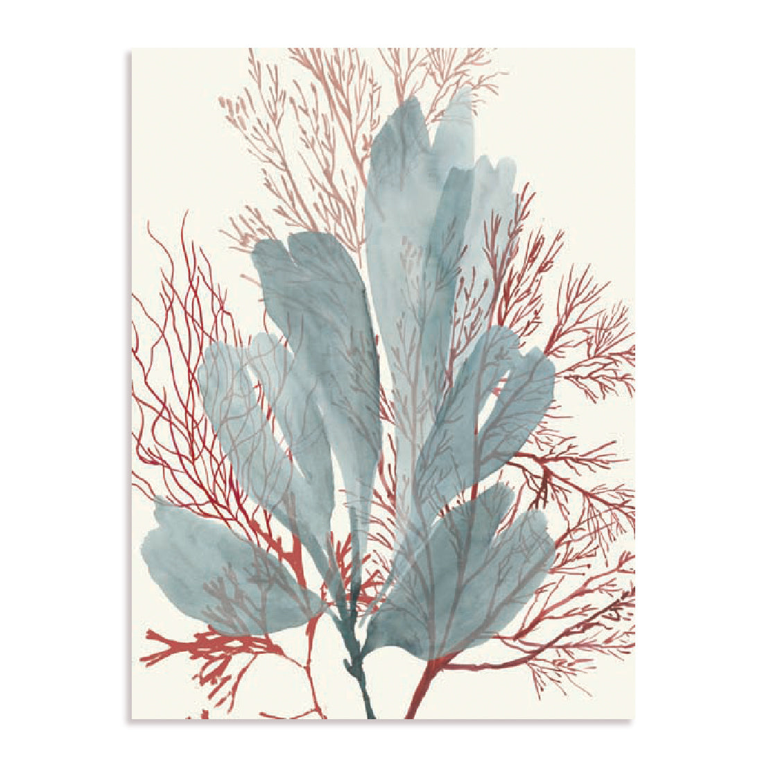 Seaweed Swirls I Wall Art