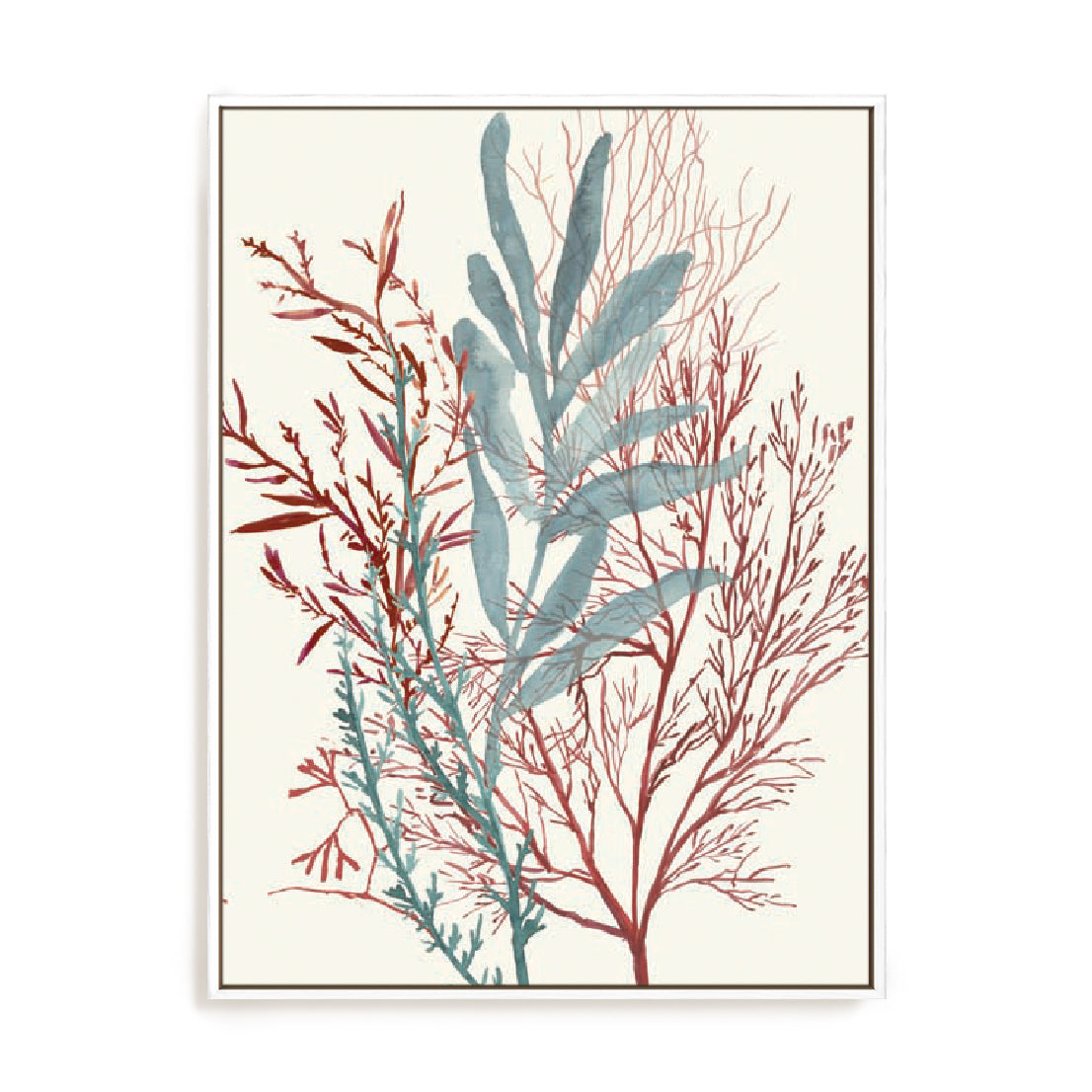 Seaweed Swirls II Wall Art