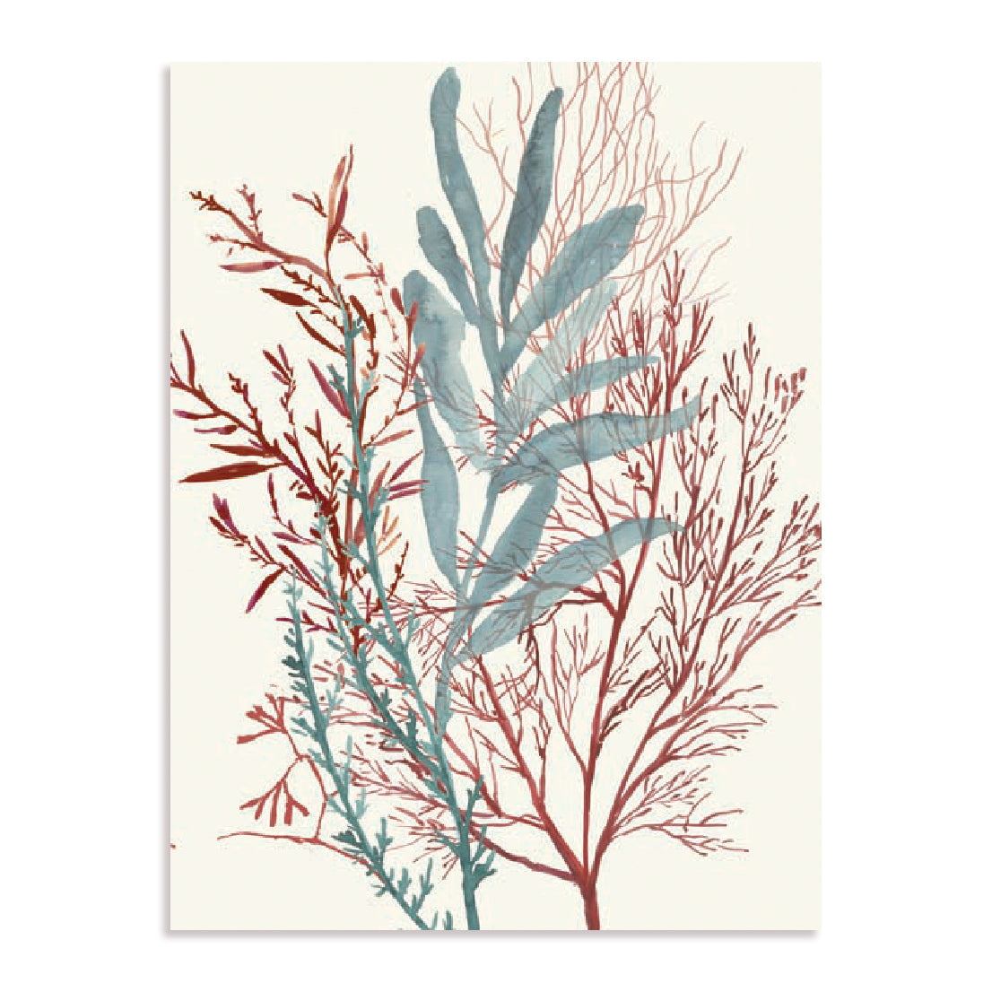Seaweed Swirls II Wall Art