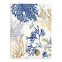 Soft Blue Corals I Wall Art