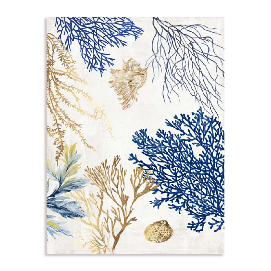 Soft Blue Corals II Wall Art