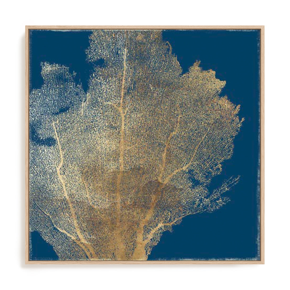 Gold Coral I Wall Art