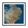 Gold Coral I Wall Art