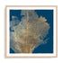 Gold Coral I Wall Art #oran_natural-white-border