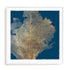 Gold Coral I Wall Art #oran_white-white-border