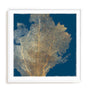 Gold Coral I Wall Art