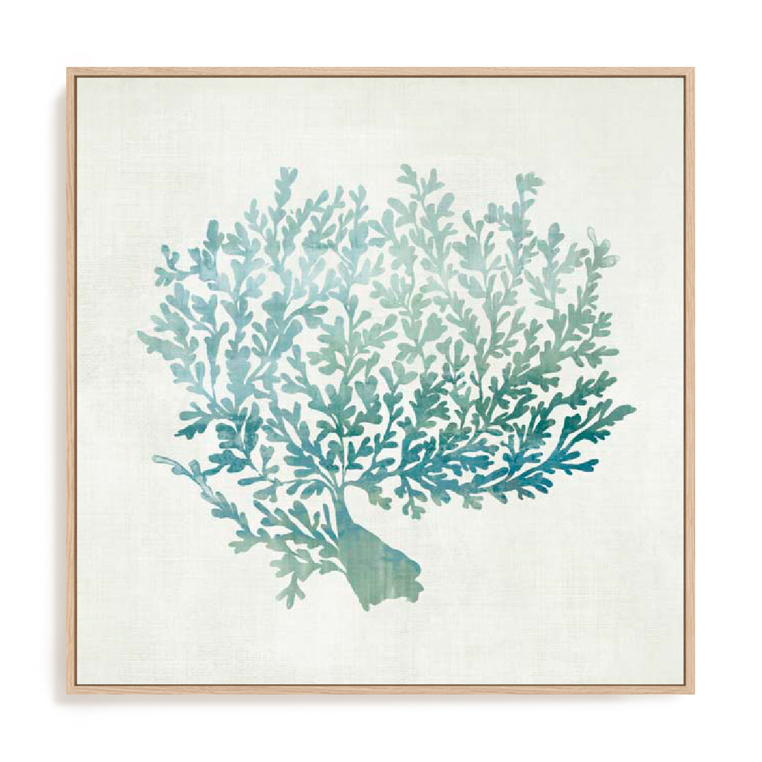Azure Coral I Wall Art
