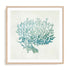 Azure Coral I Wall Art