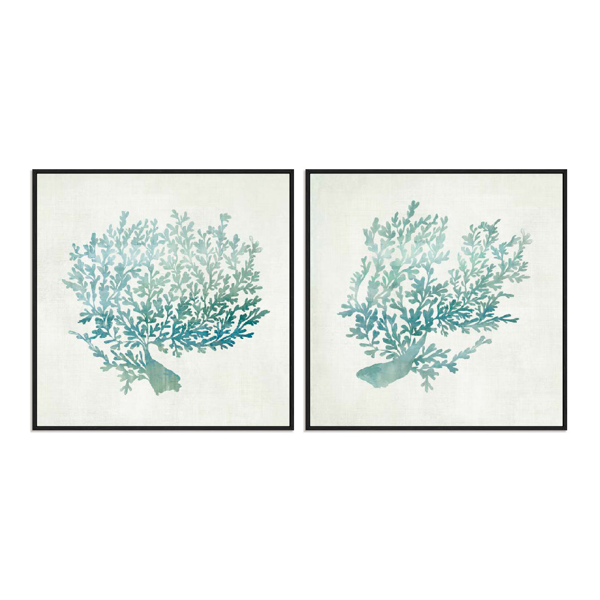 Azure Coral I and II Wall Art