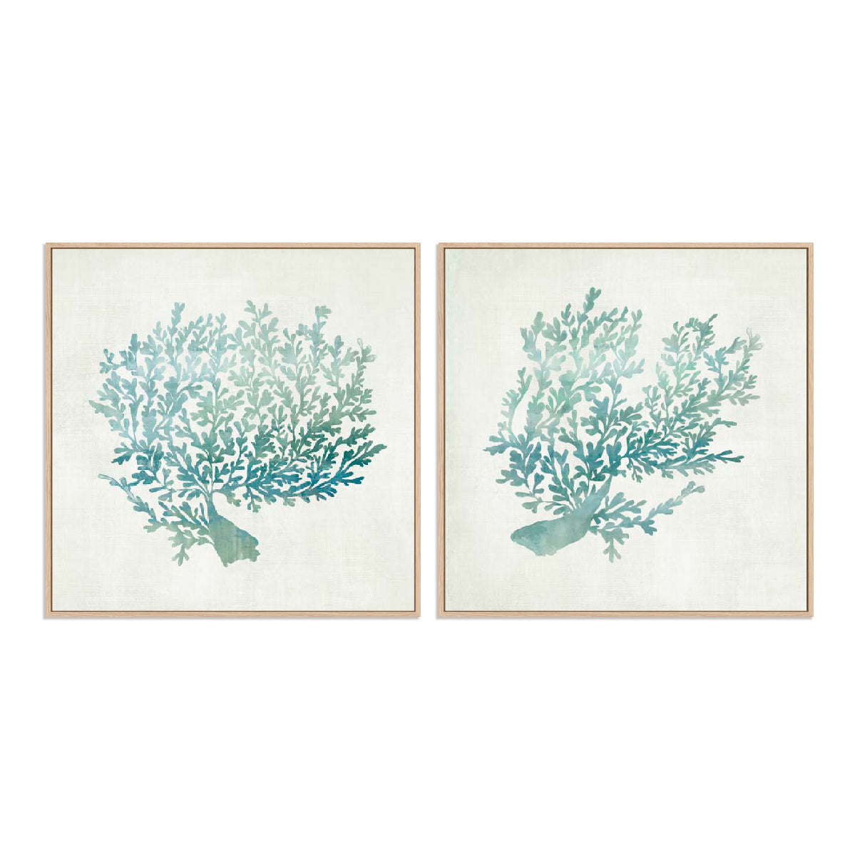 Azure Coral I and II Wall Art
