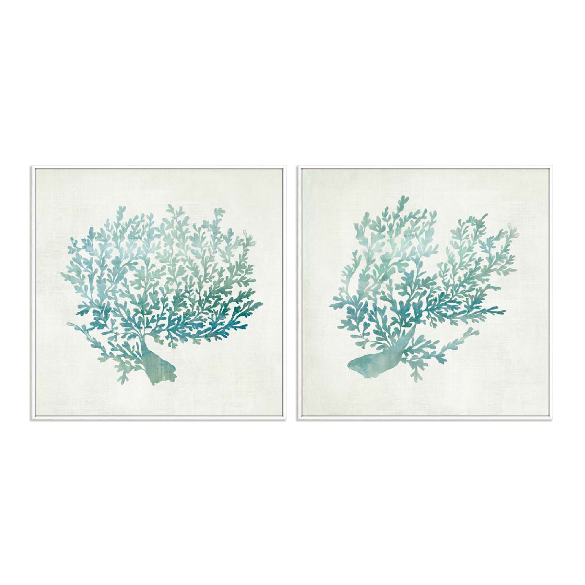 Azure Coral I and II Wall Art