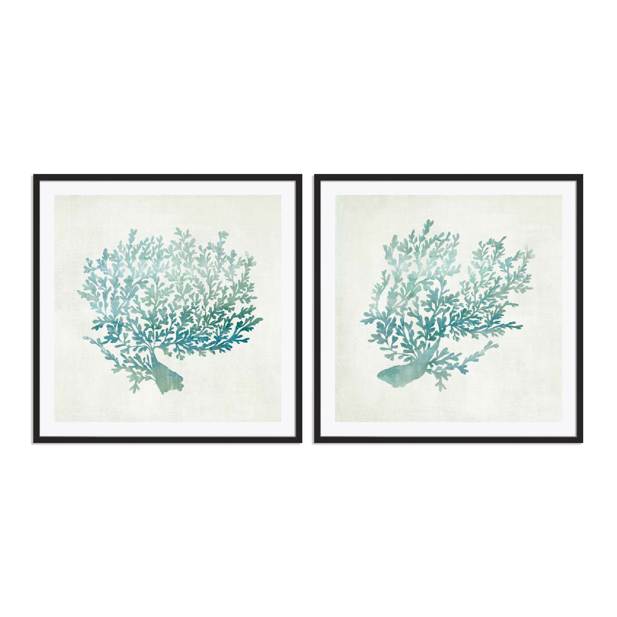 Azure Coral I and II Wall Art