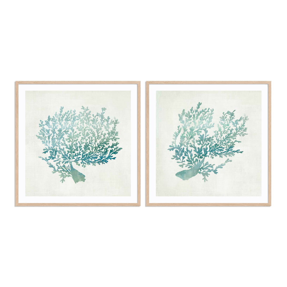 Azure Coral I and II Wall Art