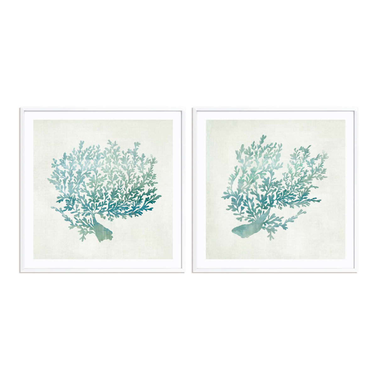 Azure Coral I and II Wall Art