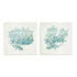 Azure Coral I and II Wall Art