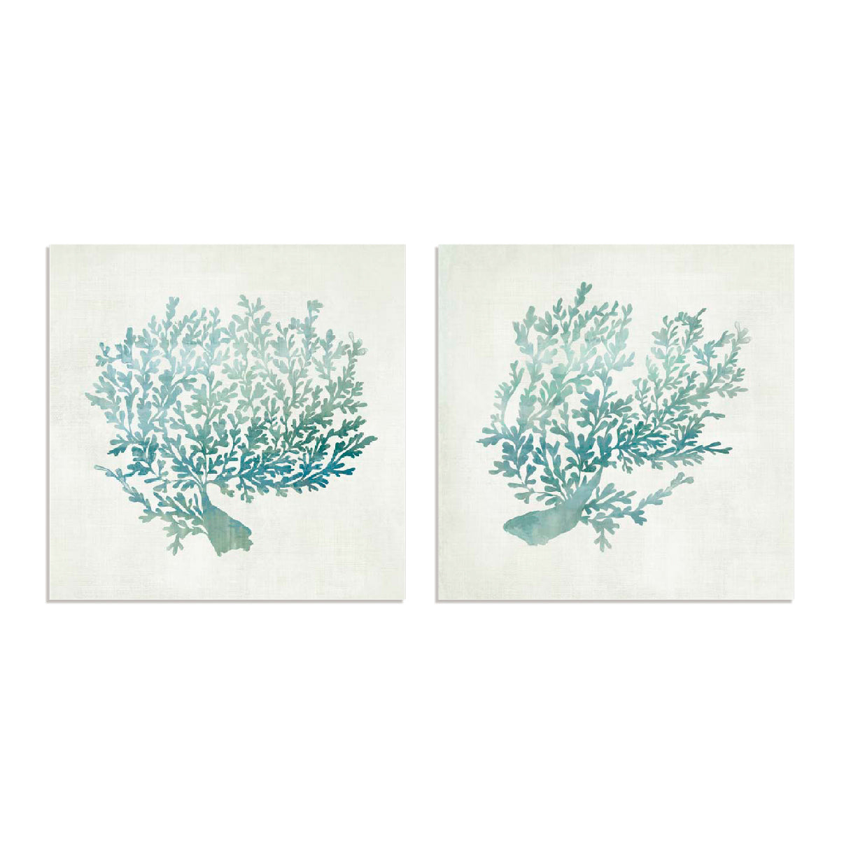 Azure Coral I and II Wall Art
